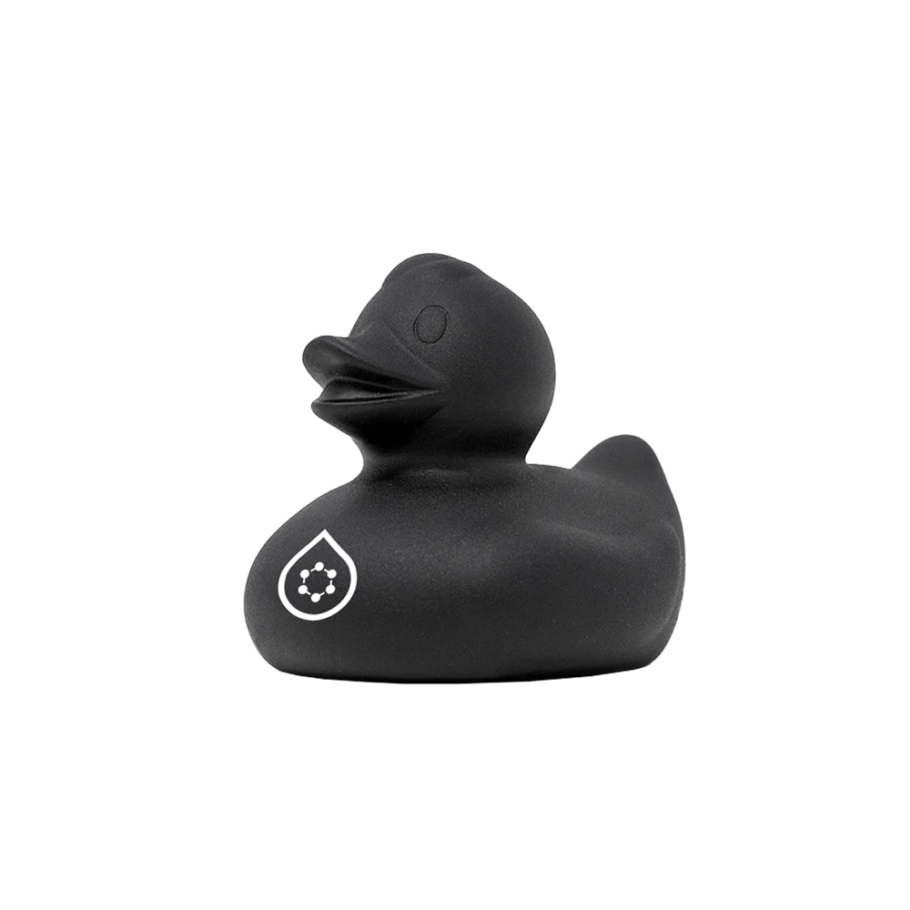 feynlab duck
