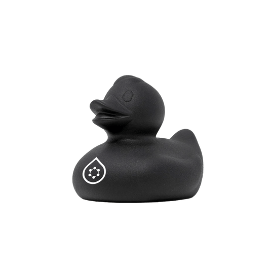 feynlab duck
